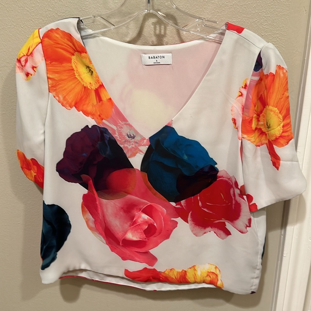 Aritzia Randy Blouse